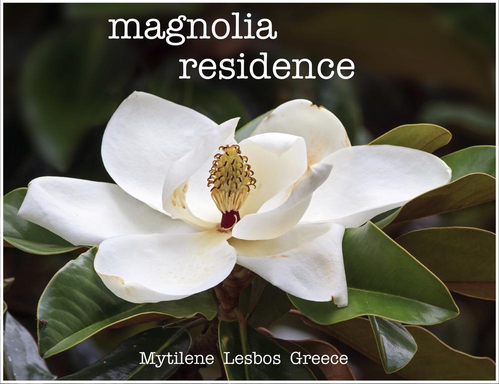 Magnolia Residence Μυτιλήνη Εξωτερικό φωτογραφία